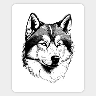 Alaskan Malamute dog minimalistic art illustration in black and white Magnet